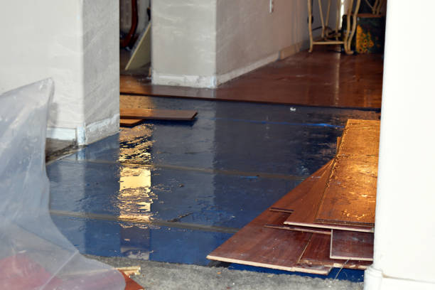 Professional Basement Flood Cleanup technician working in Harrisburg, NC